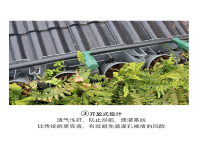 郑州植物墙容器设计 蜂巢百变魔盒内杯款