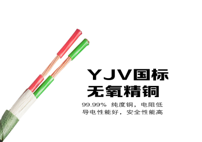 长沙丰旭 厂家直销国标电力电缆YJV2x1.5无氧铜芯环保交联聚乙烯