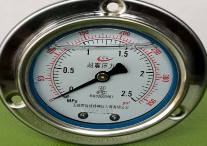 耐震压力表-充油压力表无锡厂家