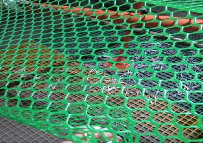 国筛 厂家批发PE塑料养殖网 家禽黑色加厚塑料平网 养鸭网源头
