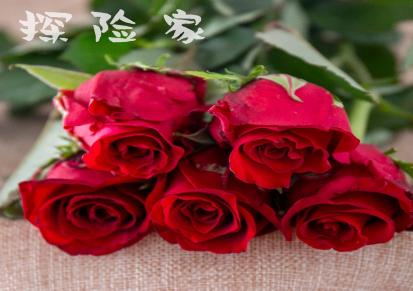 花易宝昆明鲜花批发-方德玫瑰-单头稀有玫瑰-单色混搭-10枝/扎