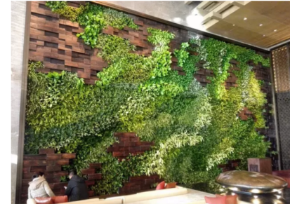 绿植墙围挡 立体墙面绿化 围挡植物墙高架桥花卉景观植物栽培 圣恩园艺