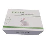博研生物 大鼠血管内皮生长因子 (VEGF)ELISA试剂盒 科研