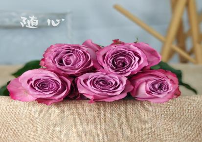 花易宝昆明鲜花批发-方德玫瑰-单头稀有玫瑰-单色混搭-10枝/扎