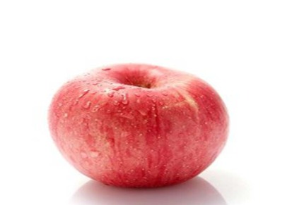山东基地大量批发寒富苹果苗 量大优惠 品种纯正 价格便宜