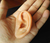 尤福假肢 安徽定制硅胶假耳 义耳 通用假肢仿真人耳定制