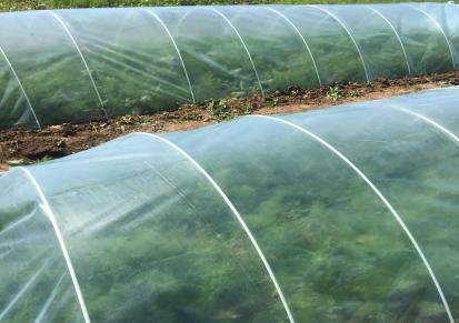 海润可定制各种型号玻璃钢拱棚杆 新型花卉蔬菜育苗棚高强度耐腐蚀玻纤棒
