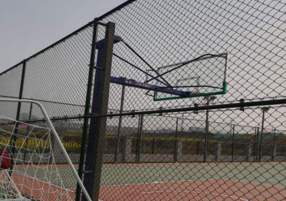 中辰厂家-球场围网-焊接式球场围网-实体质量保证
