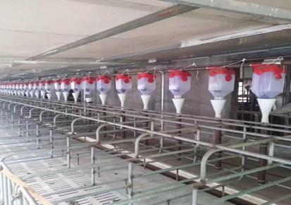 郑州富豪设备厂家生产 鸡场猪场饲料颗粒机 中小型饲料制粒机 小型家用造粒机