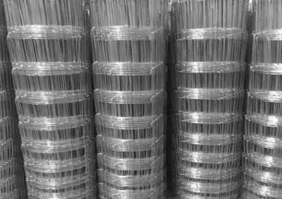 帅金公司现货供应 热镀锌牛栏网,果园圈地钢丝网,草原隔离网厂家