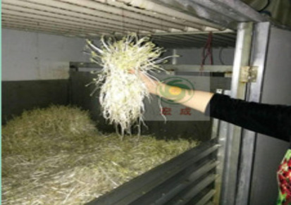 宏成豆制品机械厂家直销豆芽设备环保节能值得信赖