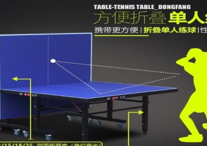 室内大彩虹乒乓球台标准比赛乒乓球桌高密度纤维板乒乓球案子