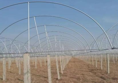 华冶（天津）连栋玻璃温室预算生产加工