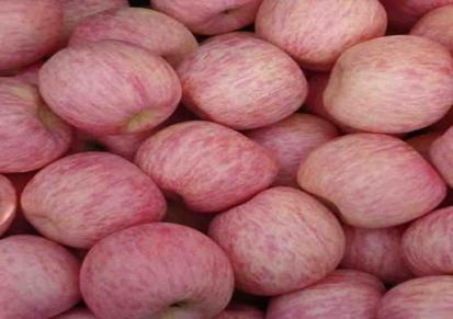 红富士苹果批发 2021年苹果价格 脆甜可口 繁荣果蔬满意采购