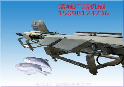 河南鲢鱼重量分选机皮带式鱼自动称重分拣机
