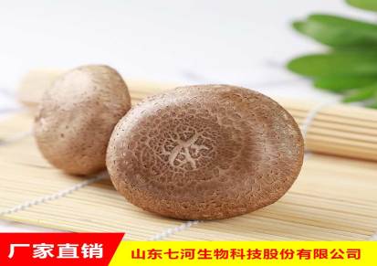 质量优香菇生产批发 七河生物 香菇