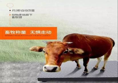 上海耀华地磅秤1-3吨地磅物流电子秤5吨称猪牛小型