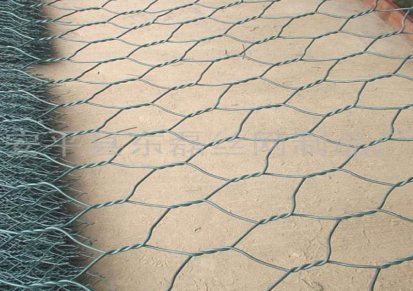 石笼网水利防护 石笼网 锌铝合金石笼网品质 腾安丝网
