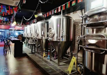 工坊啤酒设备,小型啤酒设备,自酿啤酒设备,精酿啤酒设备厂家直供