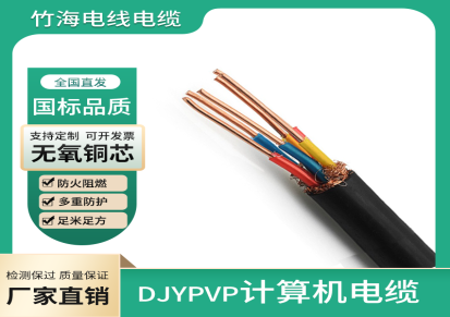 竹江-屏蔽电缆DJYPVP计算机电缆