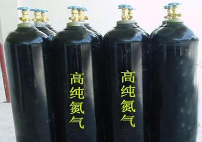 漯河瑞安气体 无机类高纯氮气 瓶装高纯氮气N2气体