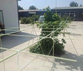 海润可定制各种型号玻璃钢拱棚杆 新型花卉蔬菜育苗棚替代毛竹玻璃纤维棒