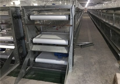 三层养鸡设备 自动清粪肉鸡笼 自动化养鸡笼 熙然厂家