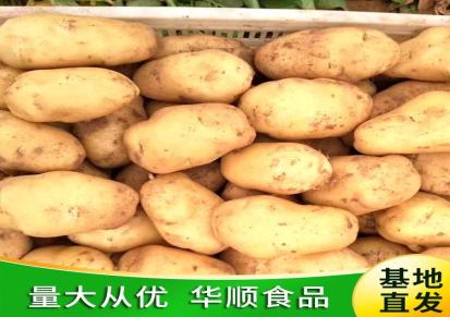 马铃薯 风干晾晒进行加工 土豆基地种植 蔬菜冷库存储 华顺
