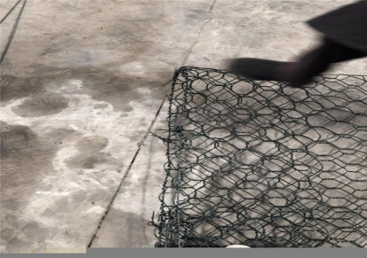 镀锌石笼网 装石头笼子 覆塑宾格笼 水库建设与加固绿滨垫 厂家直销