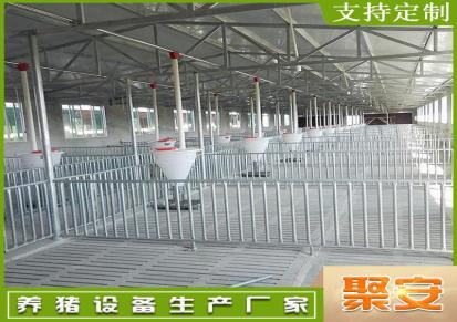养殖设备 母猪定位栏 限位栏 聚安厂家