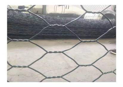 厂家直销 铁丝网 雨林防护网 优质拧花六角网 镀锌石笼网 低碳钢丝绿宾垫