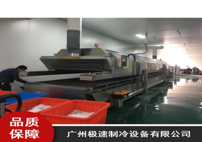 无锡市鱼虾蟹液氮速冻机广州极速JSSD液氮速冻机专业生产