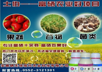 有机硒肥蔬菜专用型富硒蔬菜植物叶面营养液富硒有机蔬菜种植技术