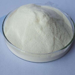 食品级丙酸钙 丙酸钙价格 丙酸钙作用