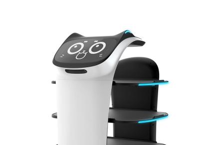 送餐机器人 智能送餐机器人 智能普渡送餐机器人机器pd9