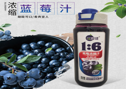 花青健蓝莓冲调果汁 原浆类浓缩果汁饮品 源头厂家