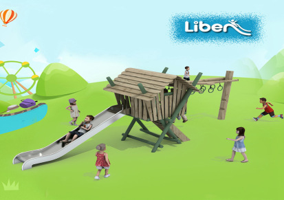 立本幼儿园户外木质组合滑梯 儿童体能训练设备 大型游乐场设施