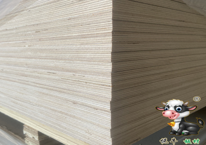 高密度桦木胶合板 bs1088 海洋板 悦牛桦木板材厂家价格
