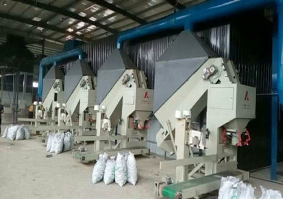 块煤自动包装机厂家 无锡市瑞利 吉林块煤自动包装机