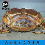 天然海产品批发  冷冻帝王蟹过节送礼佳品肉质肥美营养丰富 海鲜