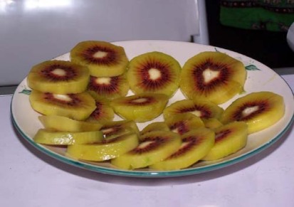 红阳猕猴桃 猕猴桃 黄肉型 藤梨、羊桃、阳桃、木子