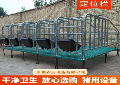 军发农业厂家现货母猪产床单体双体定位栏保育床栏畜牧养殖器械