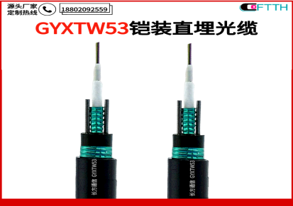 12芯室外铠装光缆 GYXTW-12B1中心束管式单模光纤