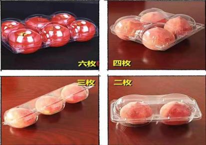 一次性果蔬盒 塑料果蔬盒 塑料盒 锦烨塑料制品