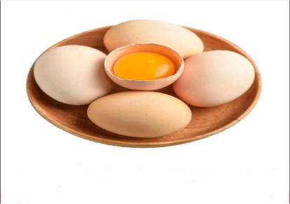 唐山鸡蛋鸡蛋