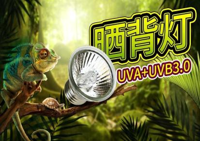 爬虫箱乌龟缸UVB3.0灯加温灯太阳灯龟箱水龟加热灯晒背灯