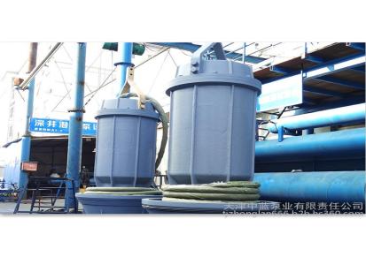 700ZQB天津潜水轴流泵现货