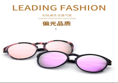 2017新款女品偏光太阳镜个性框架风采墨镜8831圆型流线框太阳眼镜