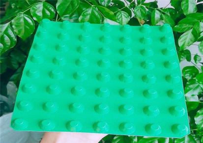 专用排水板 塑料排水板生产 泽瑞 信息推荐 车库绿化排水板
