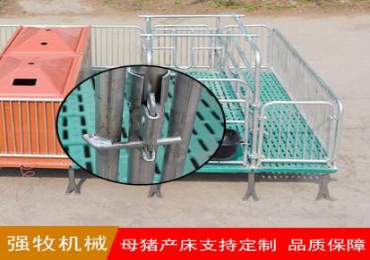 强牧机械 分娩定位栏保育一体两用 易清洗养殖设备